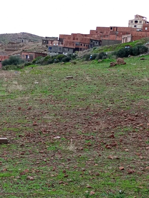 Vente Terrain Tlemcen Beni mester