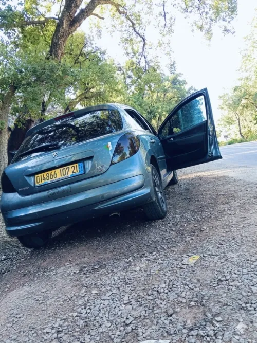 Peugeot 207 2007 