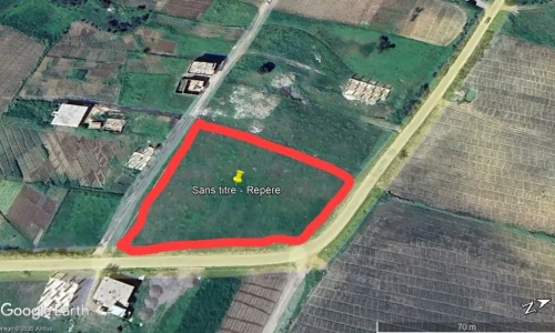 Vente Terrain Boumerdès Larbatache