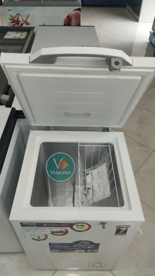 Congélateur marque Géant 100L