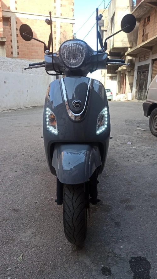 Fidal 3 Fidel 3 2025