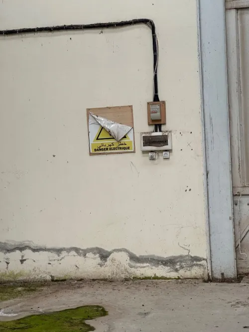 Vente Hangar - Usine Blida Ouled el alleug