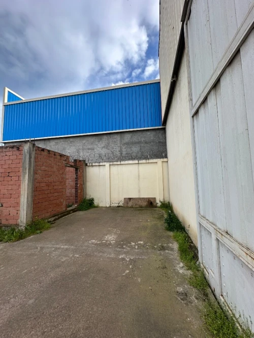 Vente Hangar - Usine Blida Ouled el alleug
