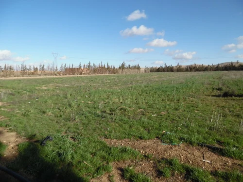 Vente Terrain Djelfa Djelfa