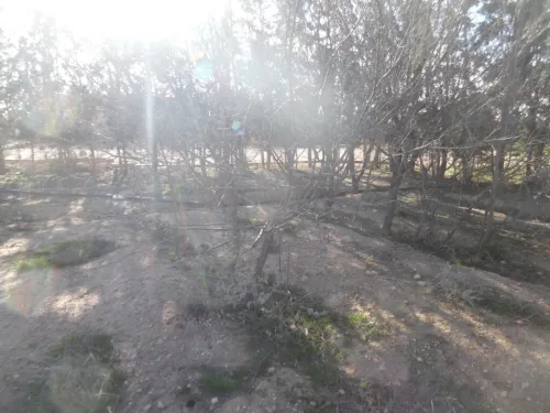 Vente Terrain Djelfa Djelfa