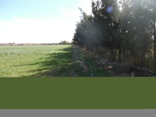 Vente Terrain Agricole Djelfa Djelfa