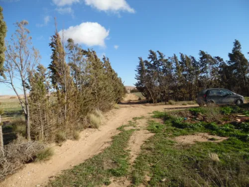 Vente Terrain Djelfa Djelfa