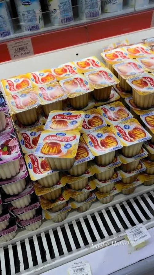 GROSSISTE PRODUITS LAITIERS, DEPOSITAIRE PRODUITS LAITIERS, FOURNISSEURE DES PRODUITS LAITIERS 