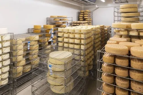 GROSSISTE PRODUITS LAITIERS, DEPOSITAIRE PRODUITS LAITIERS, FOURNISSEURE DES PRODUITS LAITIERS 
