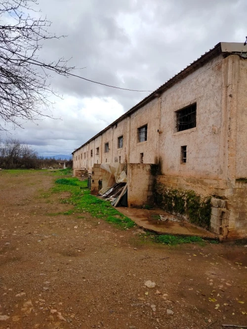 Vente Terrain Agricole Tlemcen Hennaya
