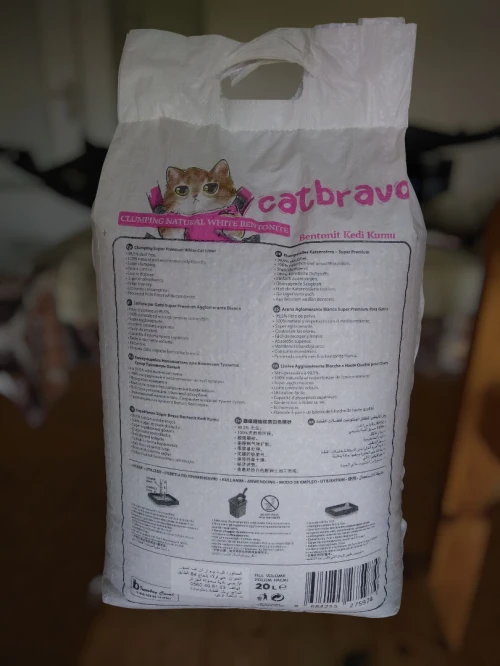 litier pour chat 