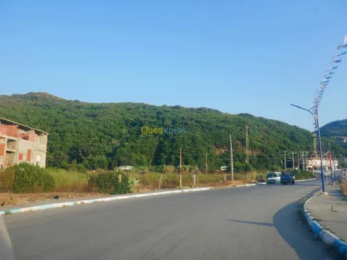 Vente Terrain Jijel Sidi abdelaziz