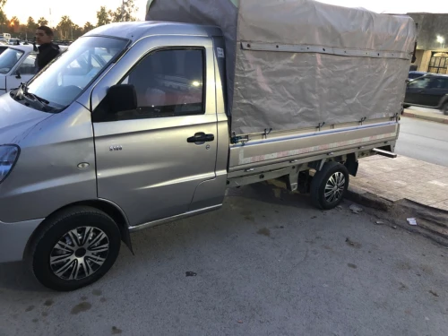 DFM Shanaray 2015 S100