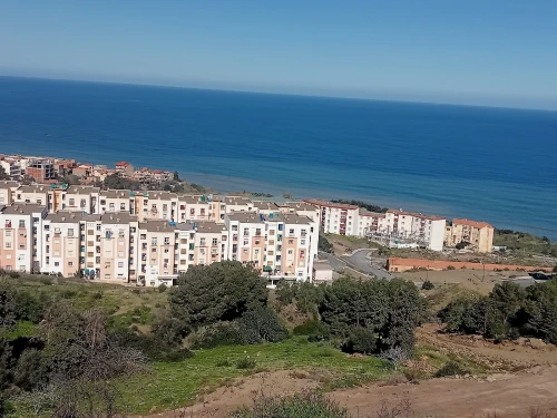 Vente Terrain Tipaza Larhat