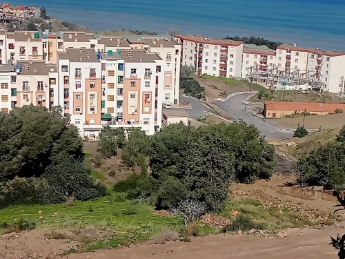 Vente Terrain Tipaza Larhat
