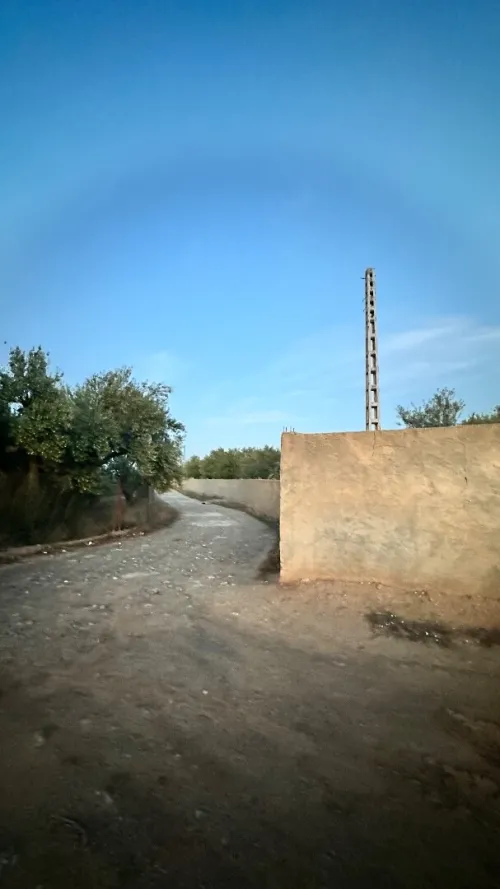 Vente Terrain Agricole Bouira Mchedallah