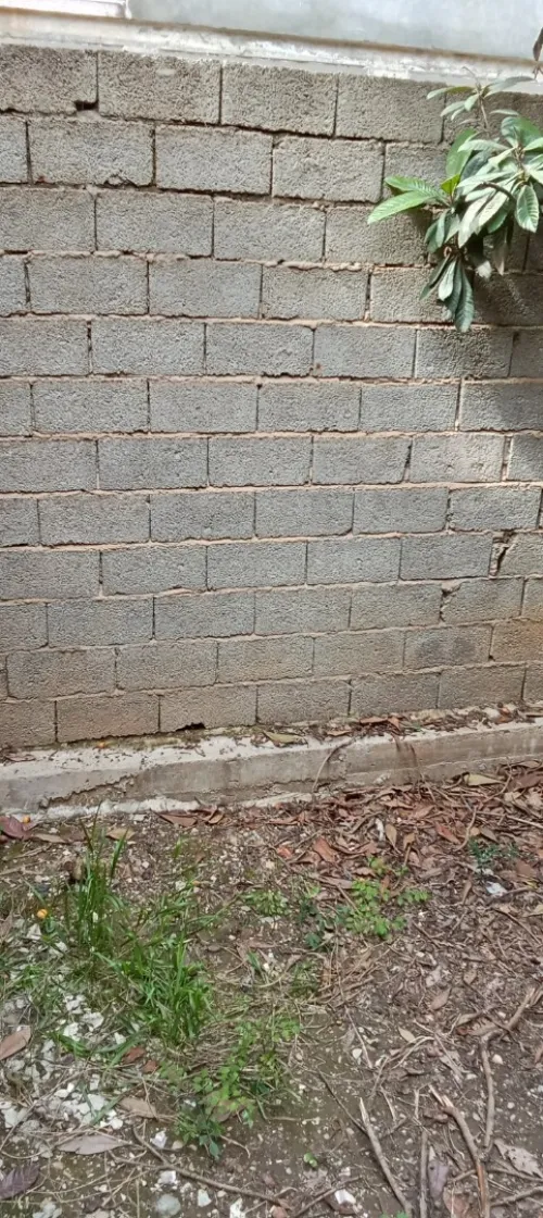 Vente Villa Blida Ben khellil