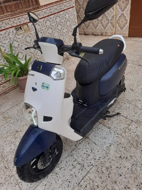 Vms Cuxi1 2024