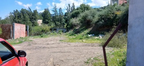 Vente Terrain Blida Bouarfa
