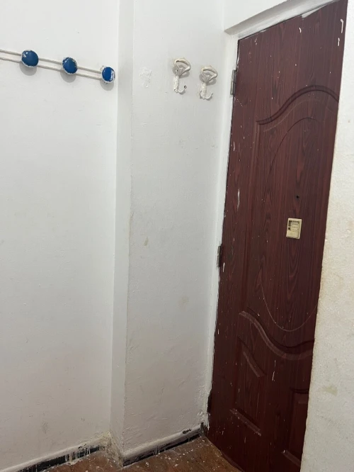 Location Appartement Studio Alger Alger centre