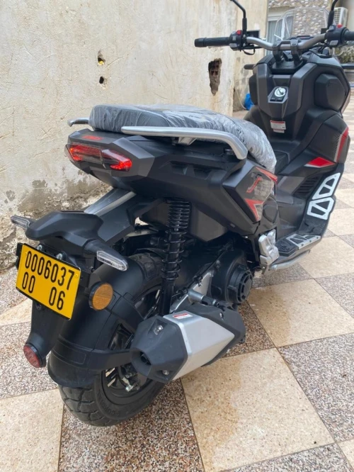 VMS Xdv 2026