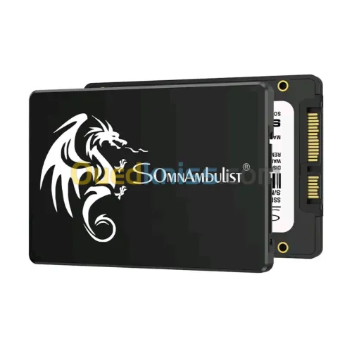 SSD 256GB Somnambulist 
