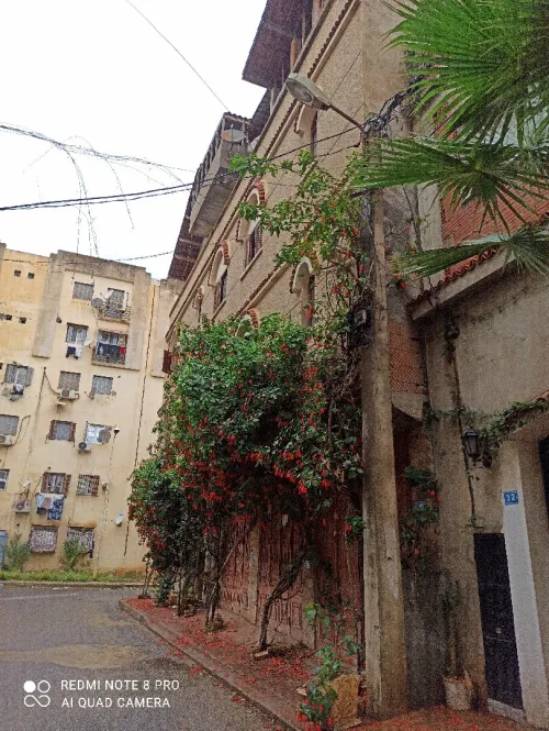 Vente Villa Blida Beni mered