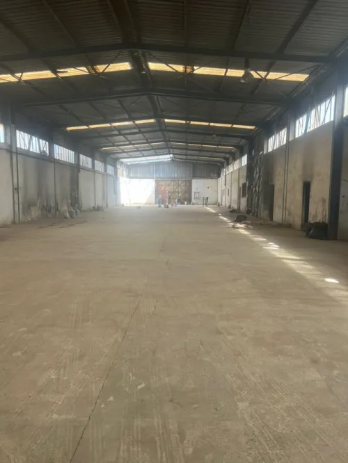 Vente Terrain Alger Dar el beida