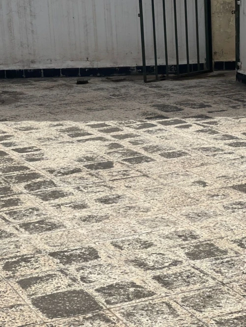 Location Appartement Niveau de villa Alger Kouba