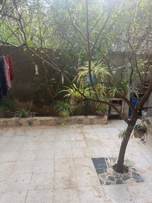 Vente Terrain Alger Kouba