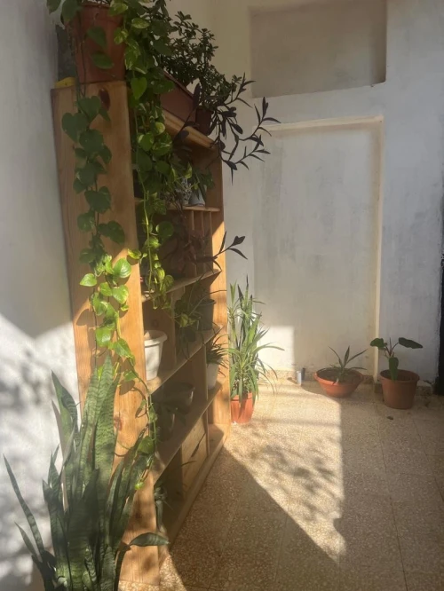 Vente Villa Alger Ain naadja