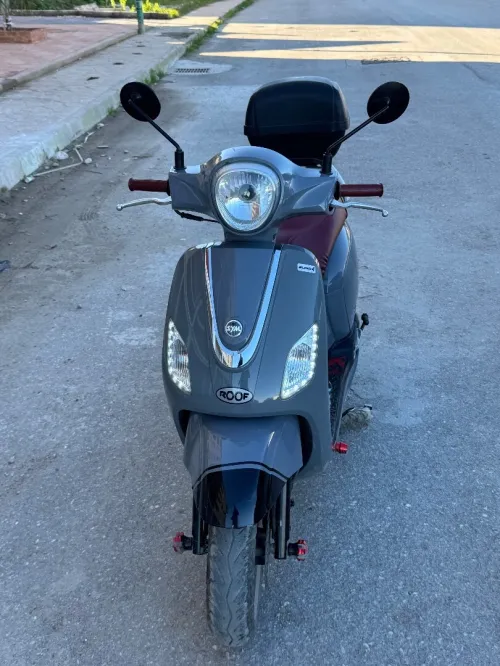 Sym Fiddel 3 2023