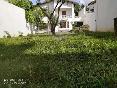 Jardinier professionnel 