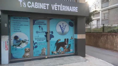 Cabinet vétérinaire Boumerdes Djazevet 