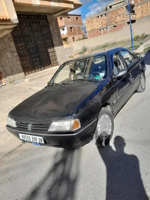 Peugeot 405 1990 405