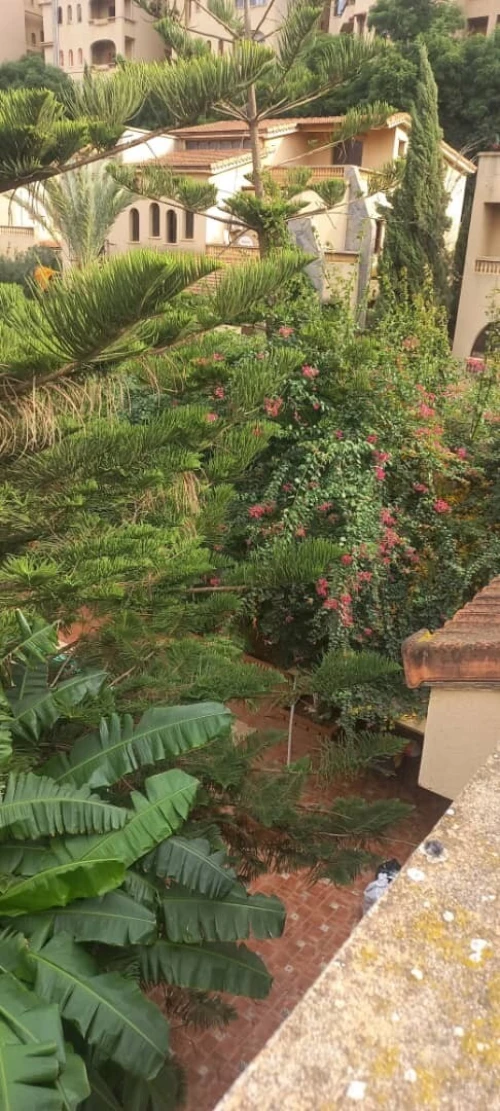 Vente Villa Alger Birkhadem