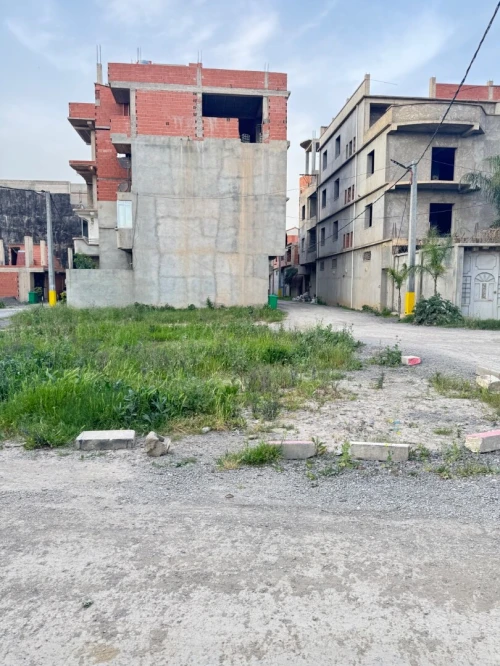 Vente Terrain Alger Ouled chebel