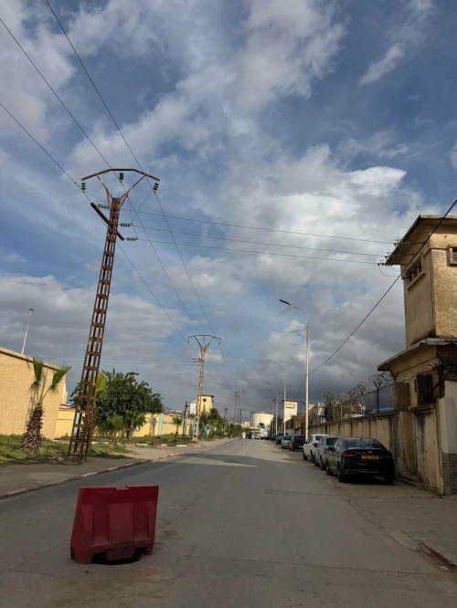 Vente Terrain Blida Blida