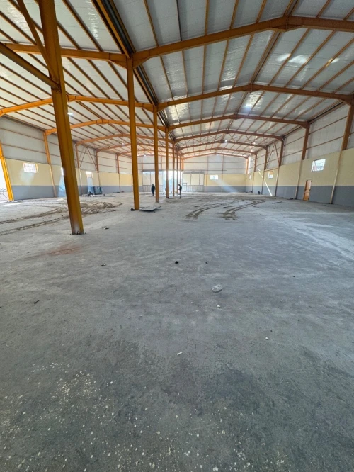 Location Hangar Blida Boufarik