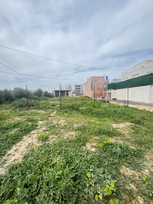 Vente Terrain Alger Ouled chebel