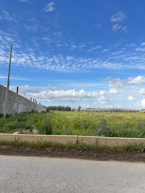 Vente Terrain Alger Tessala el merdja