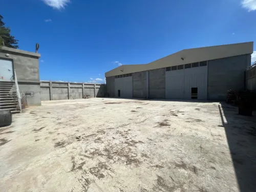 Location Hangar - Usine Blida Chebli