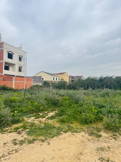 Vente Terrain Alger Ouled chebel