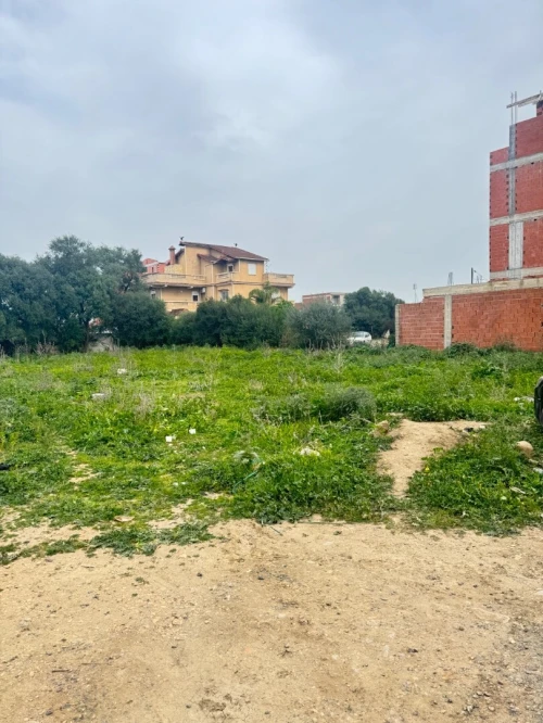 Vente Terrain Alger Ouled chebel