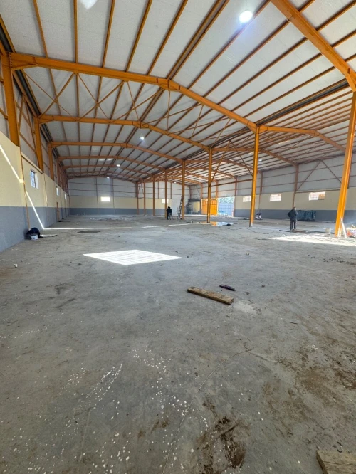 Location Hangar Blida Boufarik