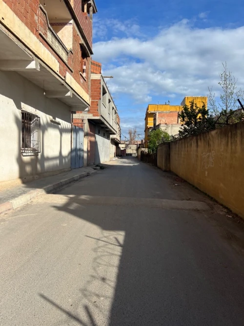 Vente Terrain Blida Boufarik