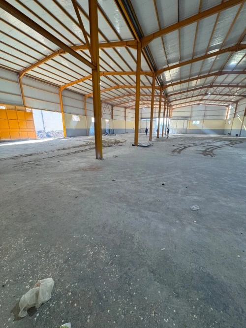 Location Hangar Blida Boufarik