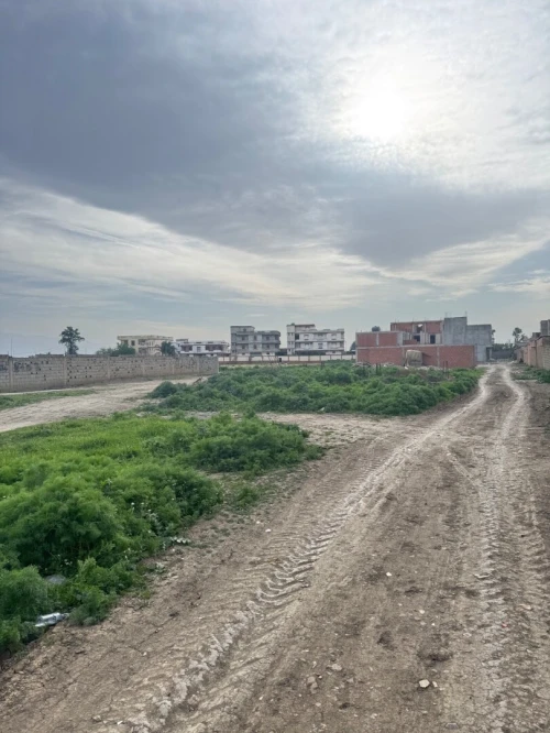 Vente Terrain Alger Ouled chebel