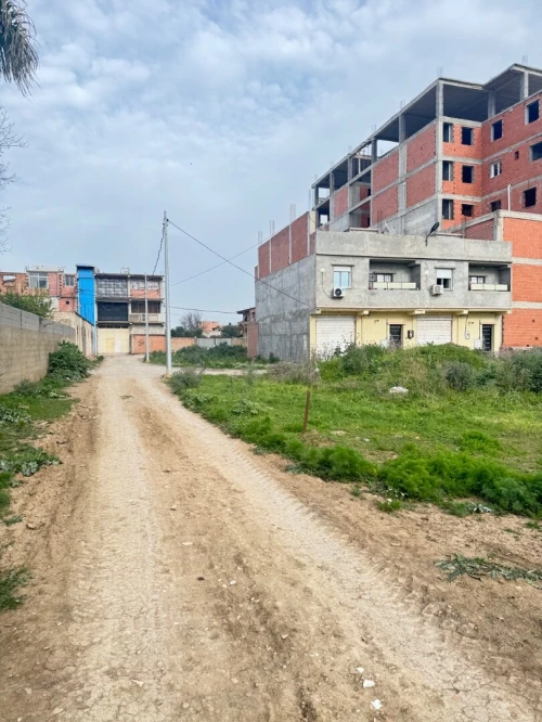 Vente Terrain Alger Ouled chebel
