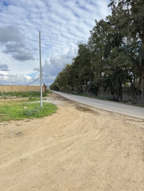 Vente Terrain Alger Tessala el merdja
